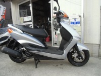 signasx125